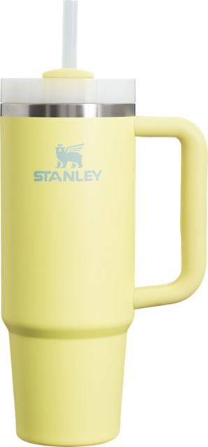 30 OZ QUENCH FLOWSLATE POMOELO
